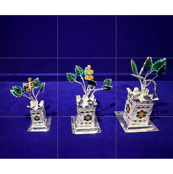 Silver Tulsi Plant – 70 Tunch Silver