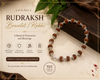 Rudraksha Bracelet/Rakhi